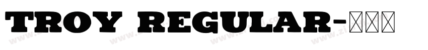 Troy Regular字体转换